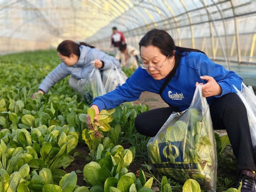14 人间烟火中的一片翠绿