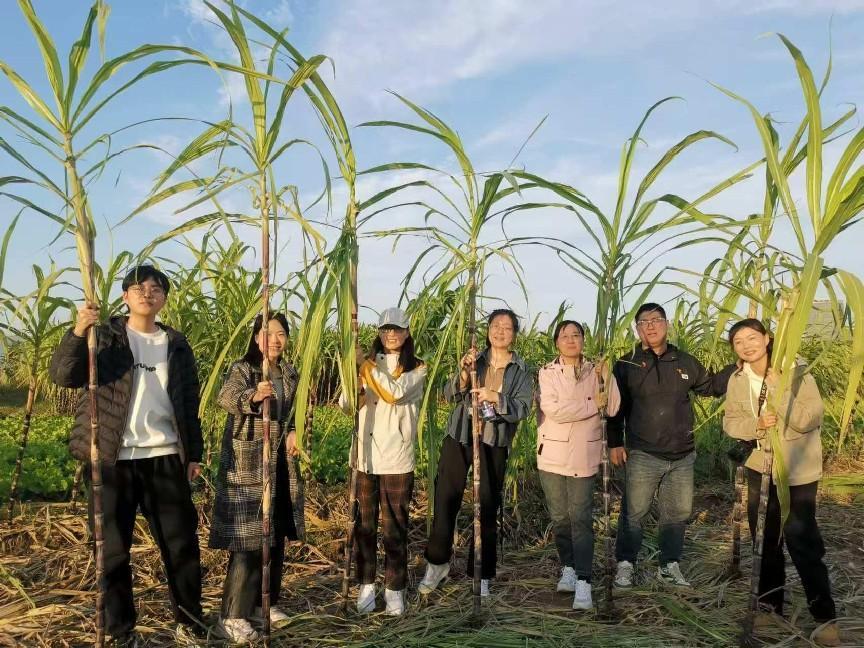 13 酣畅淋漓