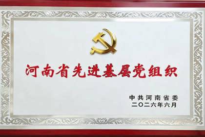 热烈祝贺！中共郑州市第九中学委员会荣获“河南省先进基层党组织”